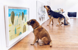 Leia mais sobre o artigo Exposição de arte para cães: descobrindo o olhar estético canino